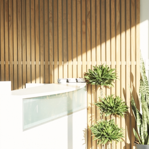 6-Inside-FORM-Physical-Therapy-Westchester-IL